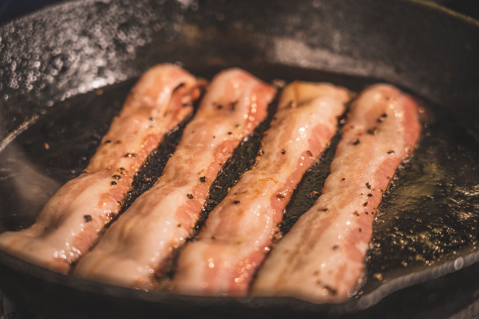 Bacon